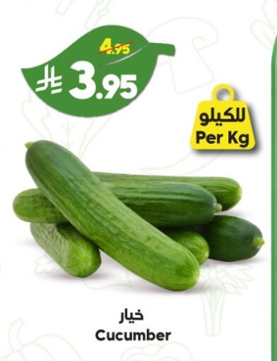 Cucumber available at Dukan in KSA, Saudi Arabia, Saudi - Medina