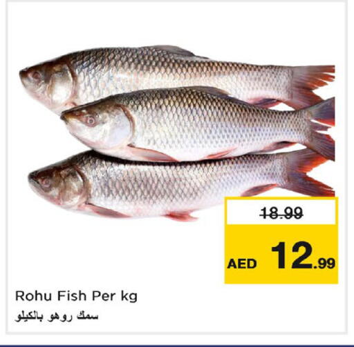 available at نستو هايبرماركت in الإمارات العربية المتحدة , الامارات - دبي