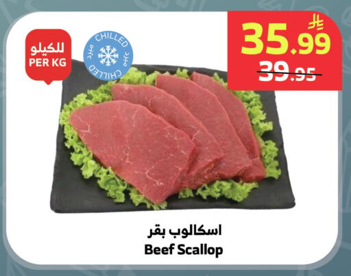 available at الراية in مملكة العربية السعودية, السعودية, سعودية - المدينة المنورة