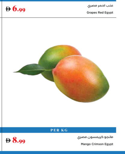 Grapes Mango from Egypt available at Trolleys Supermarket in UAE - Dubai