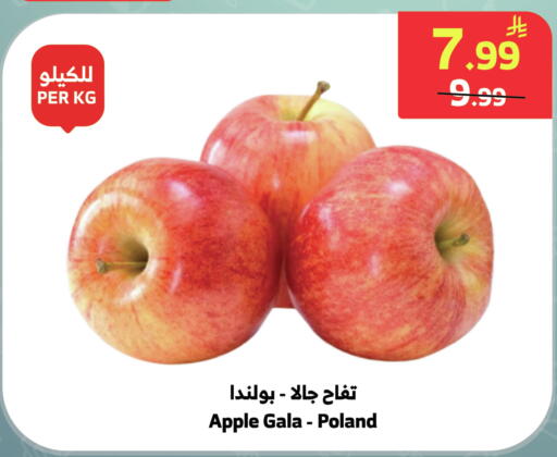 Apple from Poland available at الراية in مملكة العربية السعودية, السعودية, سعودية - جدة