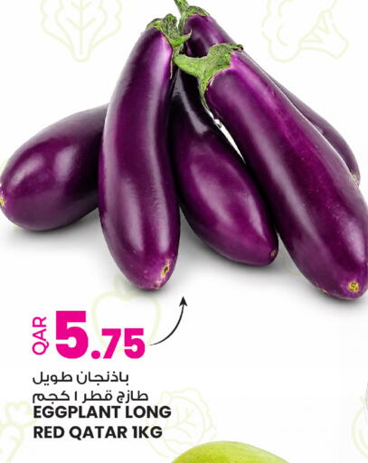 Eggplant from Qatar available at أنصار جاليري in قطر - الخور