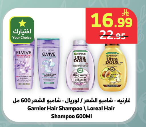 Avocado available at الراية in مملكة العربية السعودية, السعودية, سعودية - جدة
