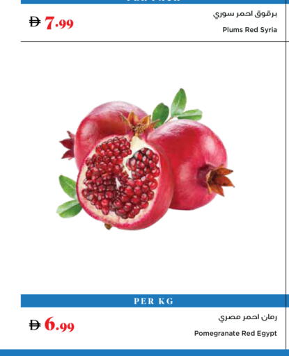 Plums Pomegranate from Syria Egypt available at تروليز سوبرماركت in الإمارات العربية المتحدة , الامارات - دبي