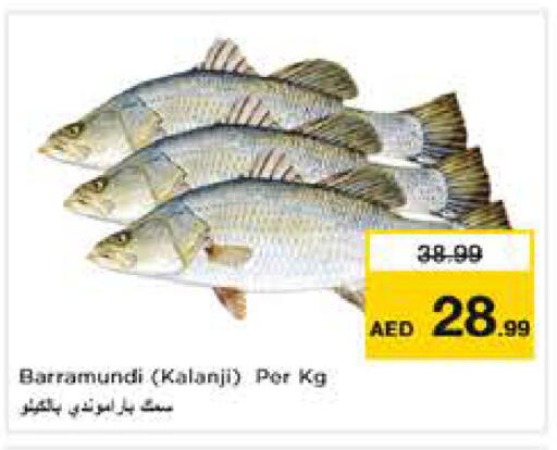 available at نستو هايبرماركت in الإمارات العربية المتحدة , الامارات - دبي