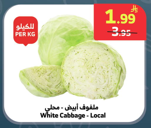 Cabbage available at الراية in مملكة العربية السعودية, السعودية, سعودية - جدة
