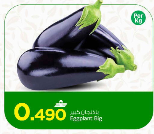 Eggplant available at مارك & سايف in عُمان - مسقط‎