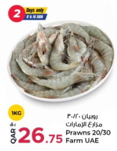 available at Rawabi Hypermarket in Qatar - Umm Salal