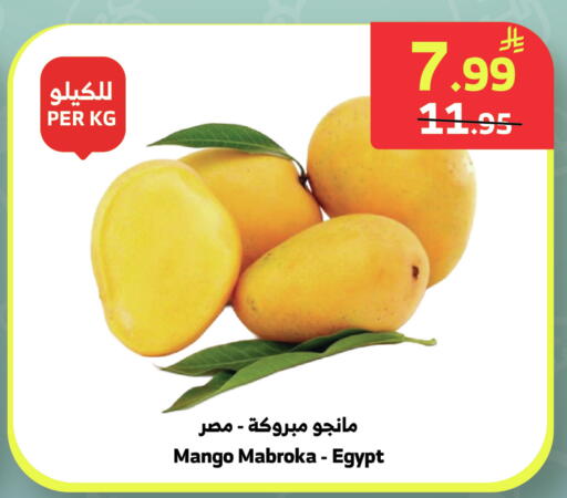 Mango from Egypt available at الراية in مملكة العربية السعودية, السعودية, سعودية - جدة