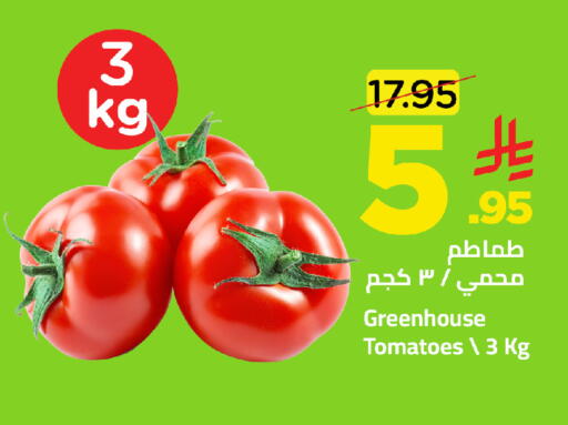 Tomato available at وهج مارت in مملكة العربية السعودية, السعودية, سعودية - جدة