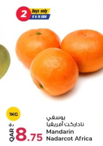 Mandarin available at Rawabi Hypermarket in Qatar - Al Wakra