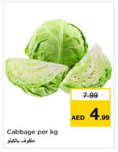 Cabbage available at نستو هايبرماركت in الإمارات العربية المتحدة , الامارات - دبي