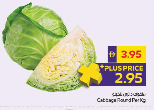Cabbage available at أدكووب in الإمارات العربية المتحدة , الامارات - رَأْس ٱلْخَيْمَة