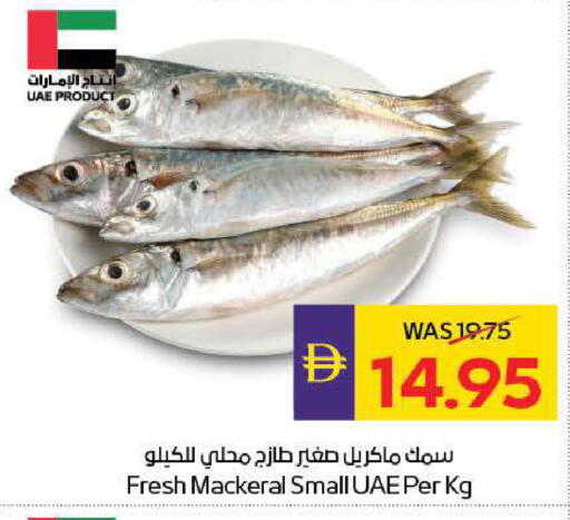 available at ADCOOP in UAE - Abu Dhabi
