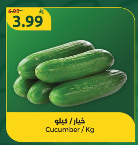 Cucumber available at Dana Mart in KSA, Saudi Arabia, Saudi - Riyadh