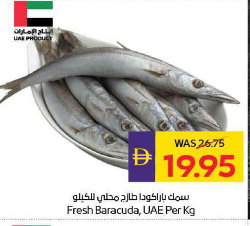 available at ADCOOP in UAE - Ras al Khaimah