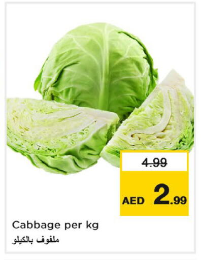 Cabbage available at نستو هايبرماركت in الإمارات العربية المتحدة , الامارات - دبي