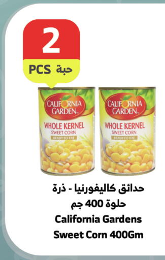 available at الراية in مملكة العربية السعودية, السعودية, سعودية - جدة