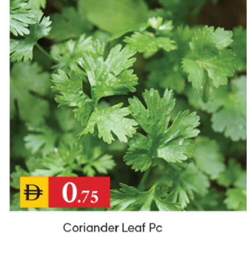 Coriander available at TALAL MARKET in UAE - Dubai