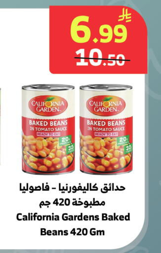 Tomato available at الراية in مملكة العربية السعودية, السعودية, سعودية - جدة