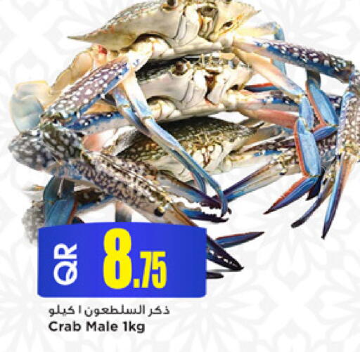available at مرزا هايبرماركت in قطر - الخور