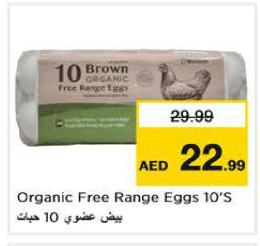 available at نستو هايبرماركت in الإمارات العربية المتحدة , الامارات - دبي
