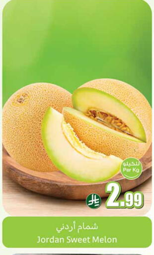 Melon from Jordan available at Othaim Markets in KSA, Saudi Arabia, Saudi - Al Khobar