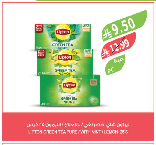 Lemon Mint available at Farm  in KSA, Saudi Arabia, Saudi - Abha