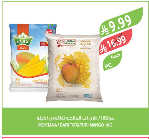 Mango available at Farm  in KSA, Saudi Arabia, Saudi - Abha