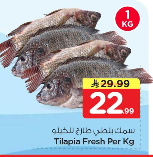 available at نستو in مملكة العربية السعودية, السعودية, سعودية - الخبر‎