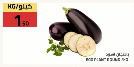 available at Astra Markets in KSA, Saudi Arabia, Saudi - Tabuk