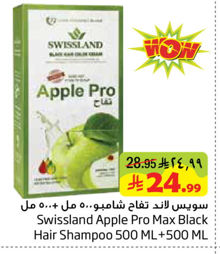 Apple available at ليان هايبر in مملكة العربية السعودية, السعودية, سعودية - المنطقة الشرقية