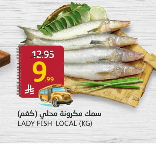 available at أسواق الجزيرة in مملكة العربية السعودية, السعودية, سعودية - الرياض