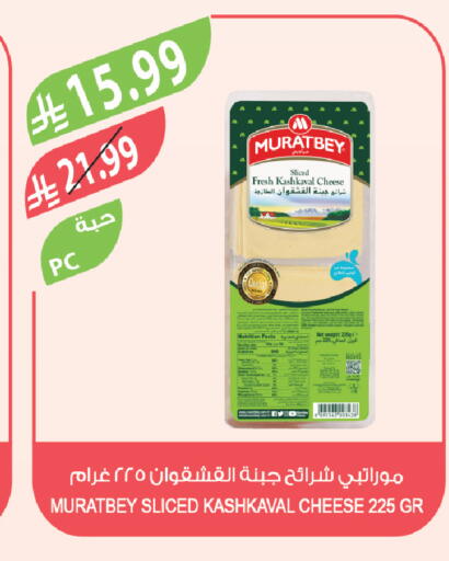 available at المزرعة in مملكة العربية السعودية, السعودية, سعودية - ينبع