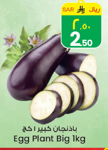 available at ستي فلاور in مملكة العربية السعودية, السعودية, سعودية - حائل‎
