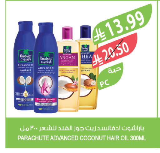 Coconut available at Farm  in KSA, Saudi Arabia, Saudi - Abha