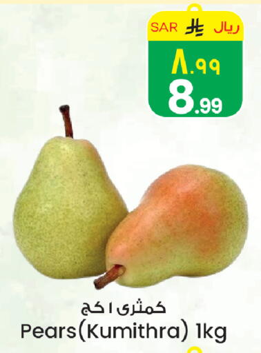 available at City Flower in KSA, Saudi Arabia, Saudi - Hail