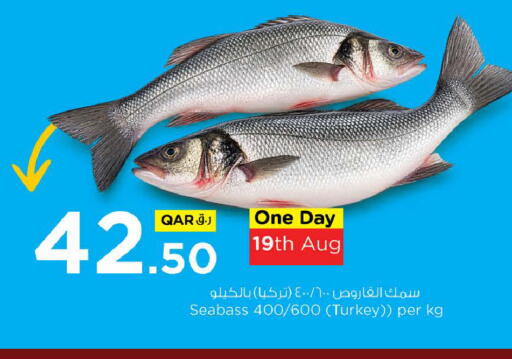 available at Nesto in Qatar - Doha