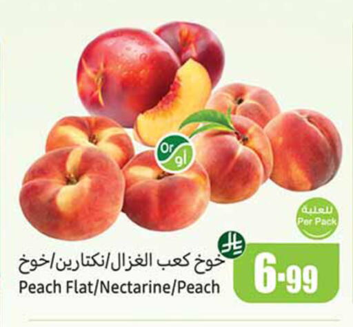 Peach Nectarine available at Othaim Markets in KSA, Saudi Arabia, Saudi - Al Khobar