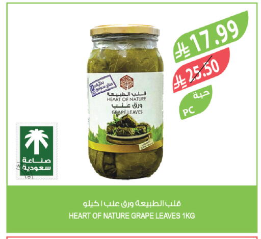 available at المزرعة in مملكة العربية السعودية, السعودية, سعودية - تبوك