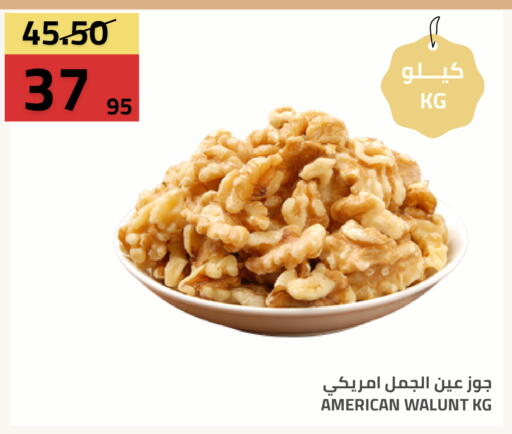available at Astra Markets in KSA, Saudi Arabia, Saudi - Tabuk