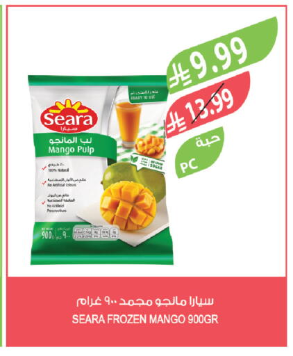 Mango available at Farm  in KSA, Saudi Arabia, Saudi - Abha
