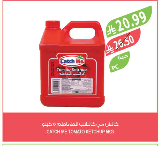 Tomato available at المزرعة in مملكة العربية السعودية, السعودية, سعودية - الباحة