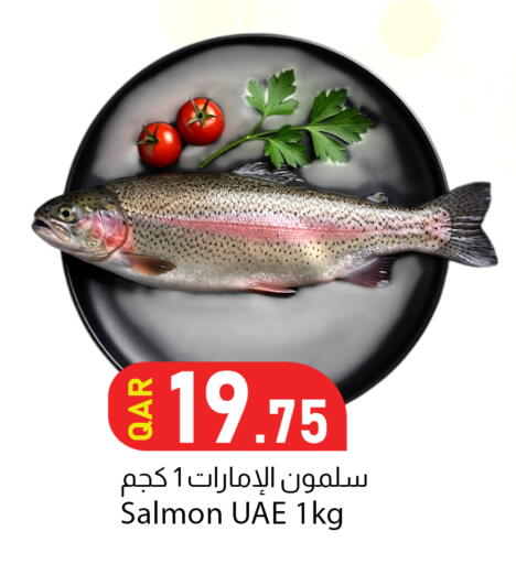 available at Dana Market in Qatar - Doha