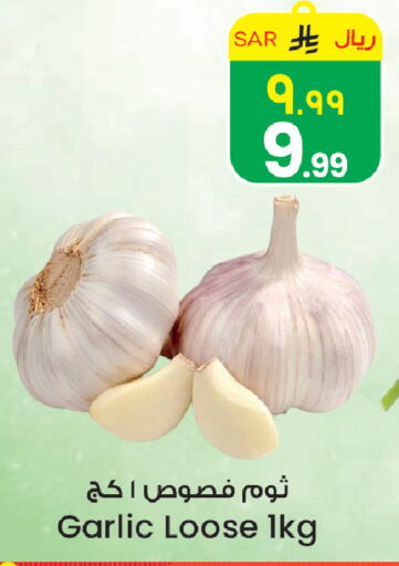 Garlic available at ستي فلاور in مملكة العربية السعودية, السعودية, سعودية - حائل‎
