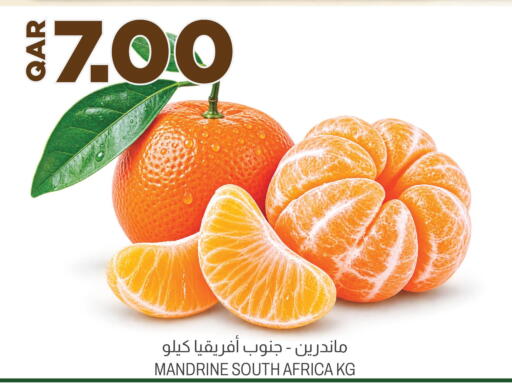 from South Africa available at Aswaq Al Malaki Fresh in Qatar - Al Khor