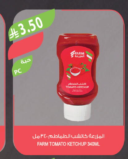 Tomato available at Farm  in KSA, Saudi Arabia, Saudi - Abha