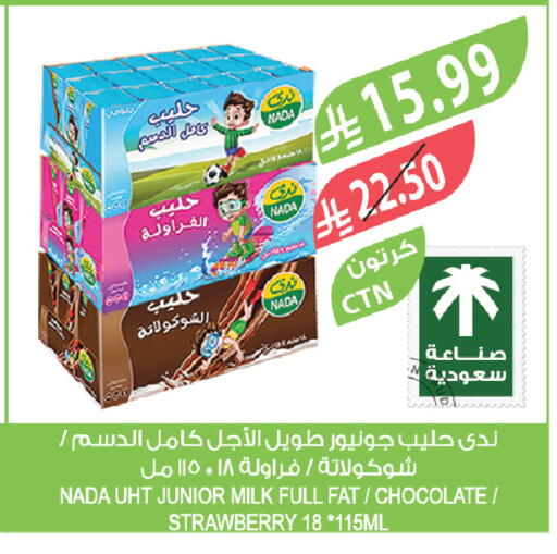 Strawberry available at المزرعة in مملكة العربية السعودية, السعودية, سعودية - تبوك