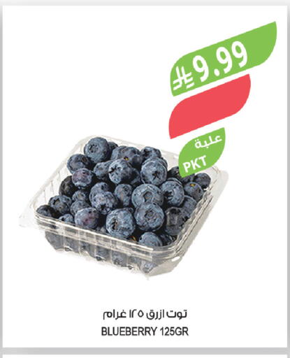 Blueberry BlueBerry available at Farm  in KSA, Saudi Arabia, Saudi - Abha