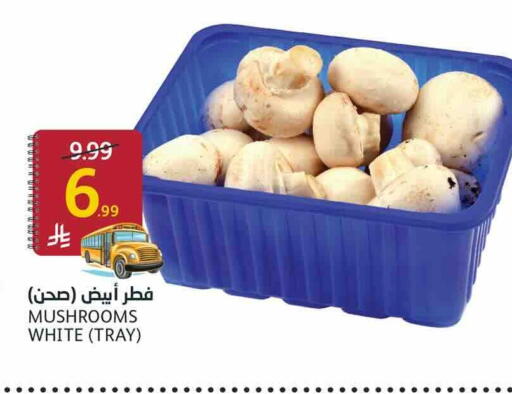available at أسواق الجزيرة in مملكة العربية السعودية, السعودية, سعودية - الرياض